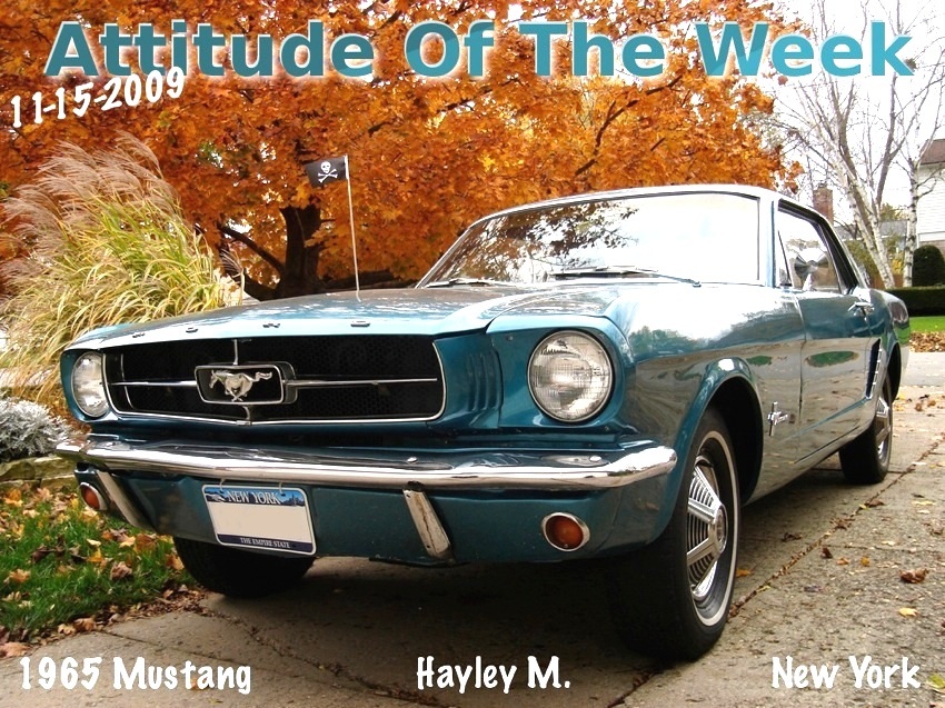 Attitude Of The Week