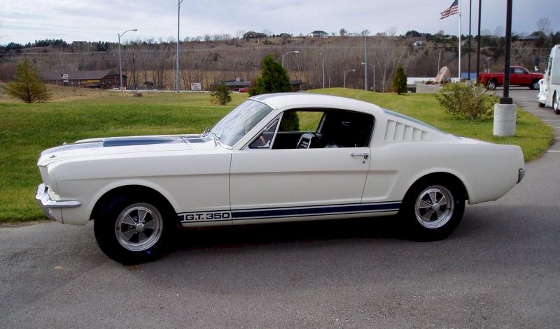 White 65 Shelby GT-350