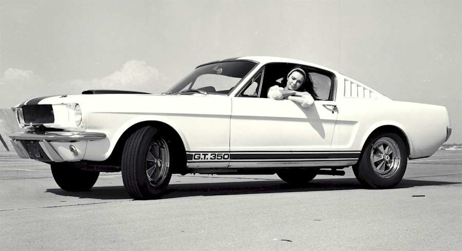 White 65 Mustang Shelby GT-350