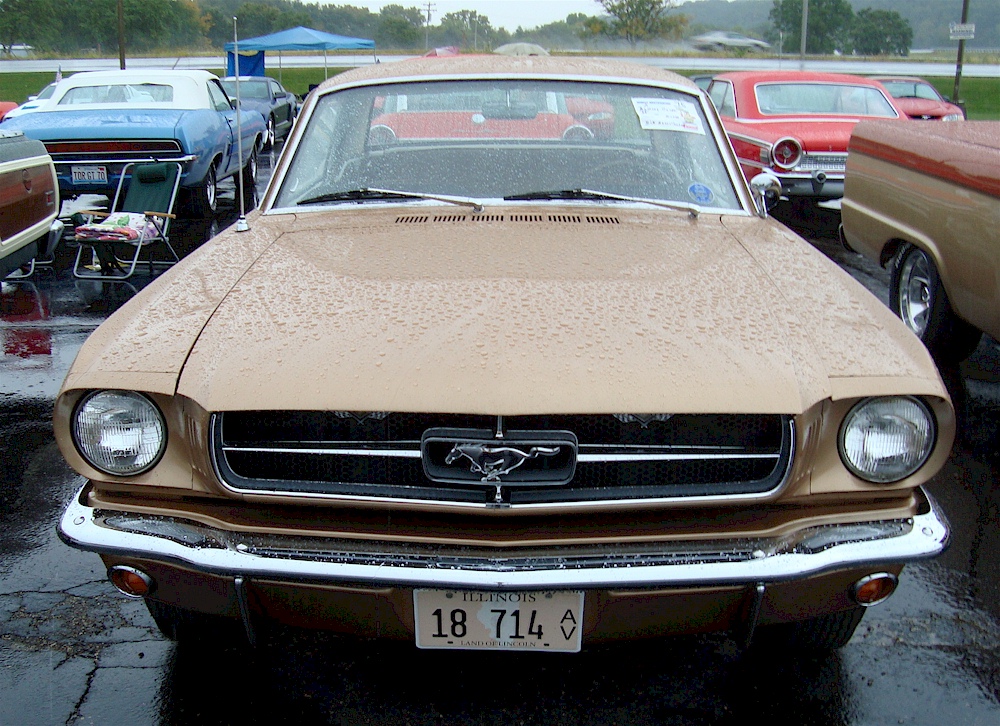 Prairie Bronze 65 Mustang