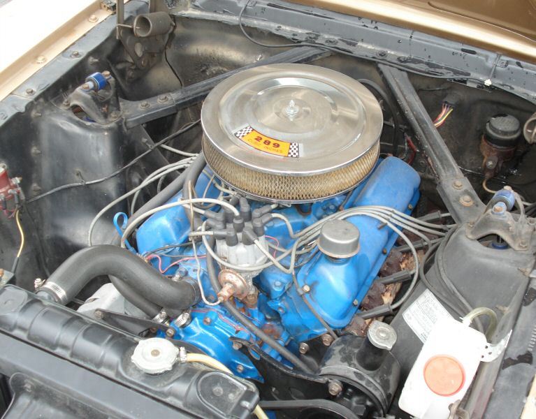 1966 Mustang C-code 289ci V8 Engine.