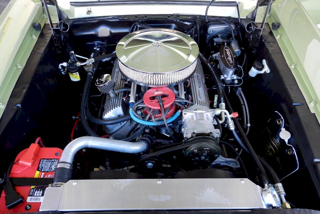 1967 Mustang Engine