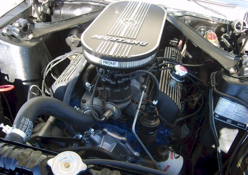 289ci Engine