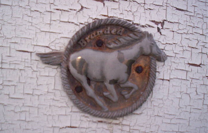 Branded Mustang Round Emblem
