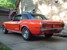 Calypso Coral 1968 Rainbow of Colors Promotional Mustang Hardtop
