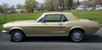 Sunlit Gold 68 Mustang Hardtop