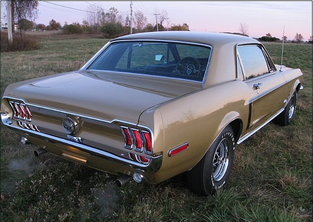 Black Hills Gold 68 Mustang Sprint B Hardtop