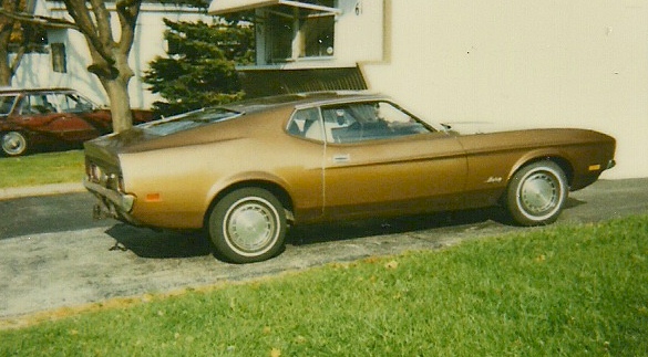 Medium Brown 1971 Mustang