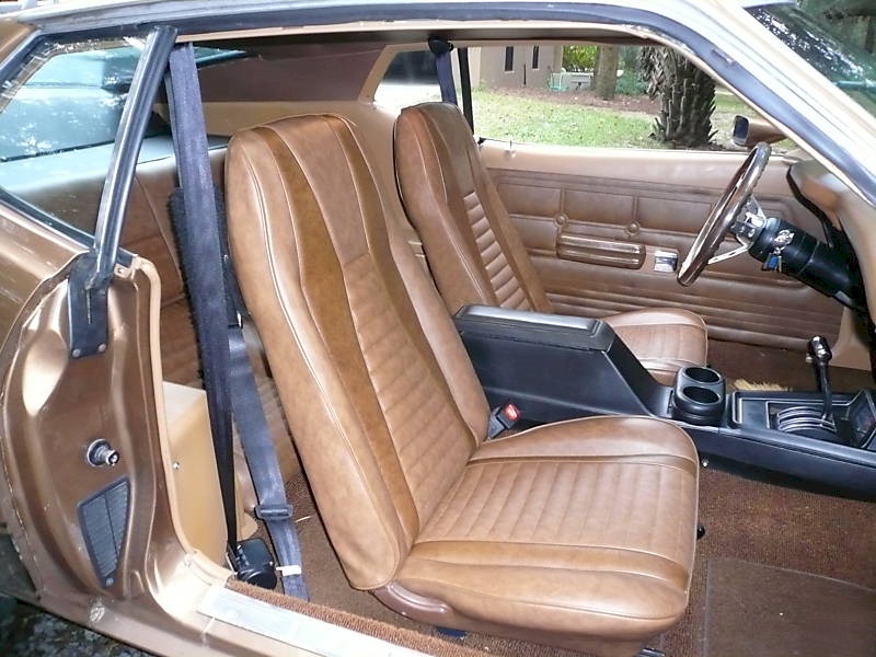 Medium Brown Ginger 1973 Mach 1 Ford Mustang Fastback