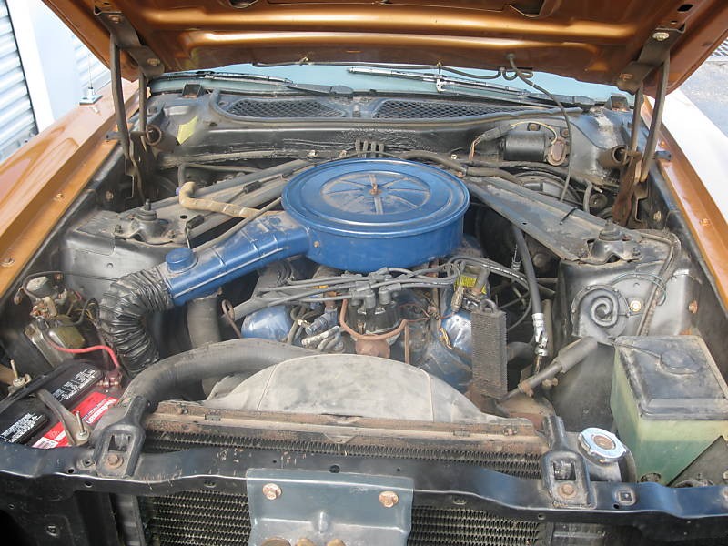 1973 Ford Mustang F-code 302ci V8 Engine