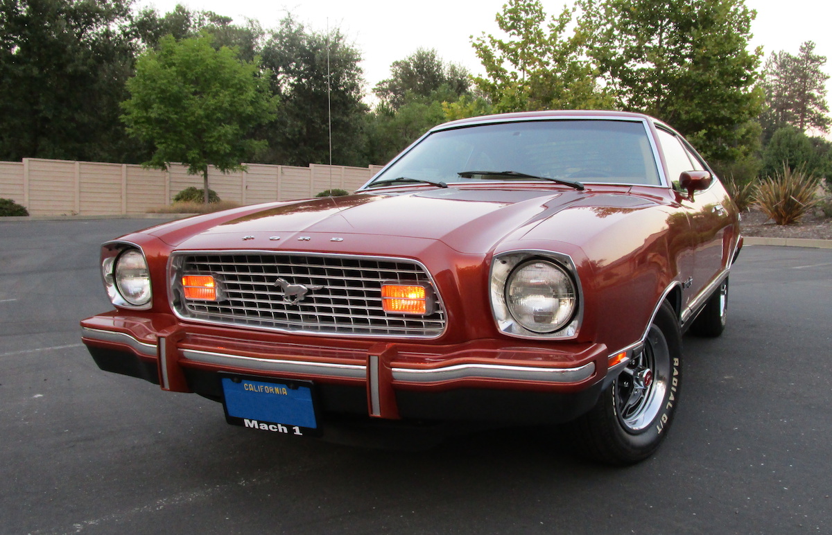 Chestnut (Medium Copper) 1974 Mach 1 Mustang
