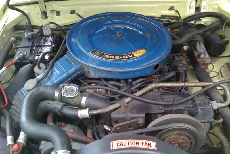 1975 Mustang V8 Engine