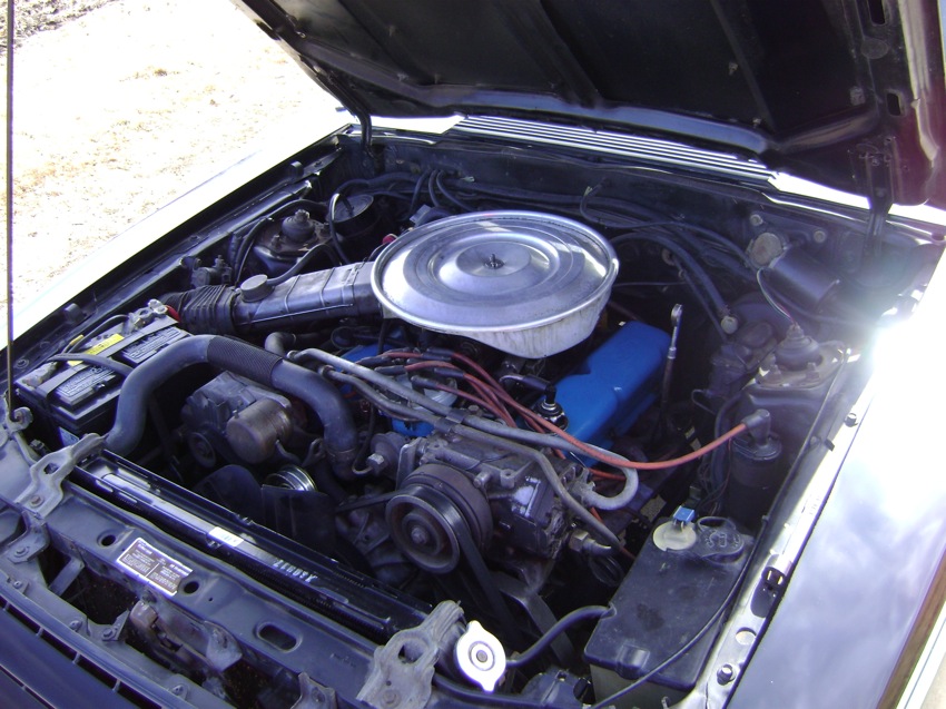 1980 Ford Mustang D-code 4.2L V8 Engine