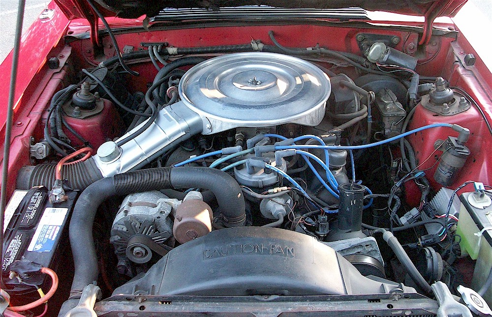 1980 Mustang Engine