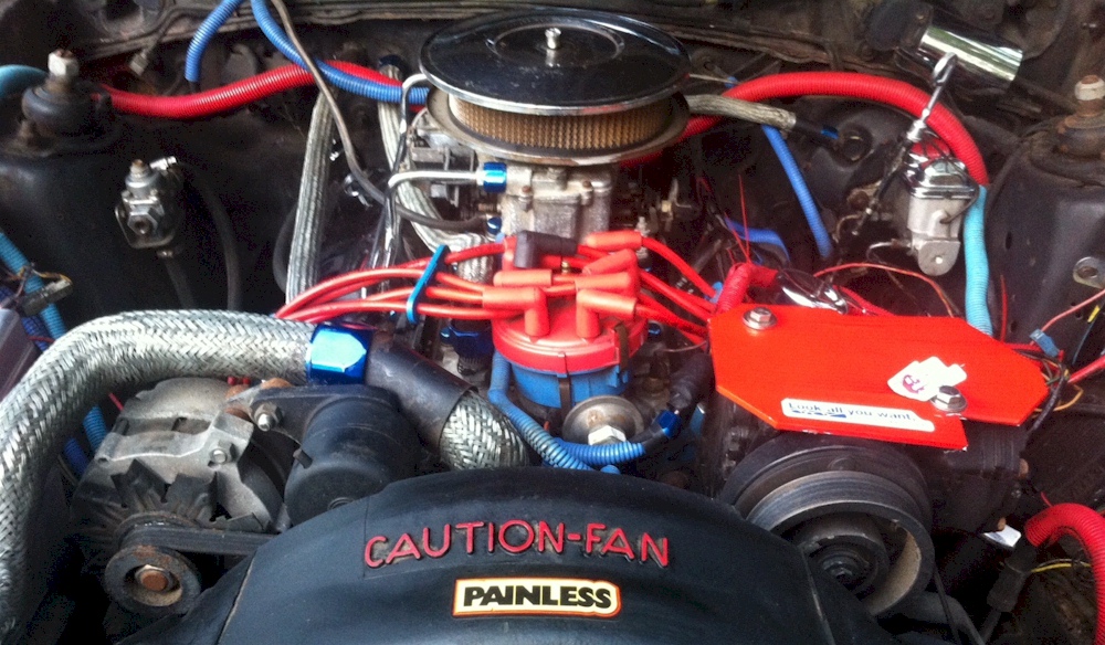 1980 Mustang Engine