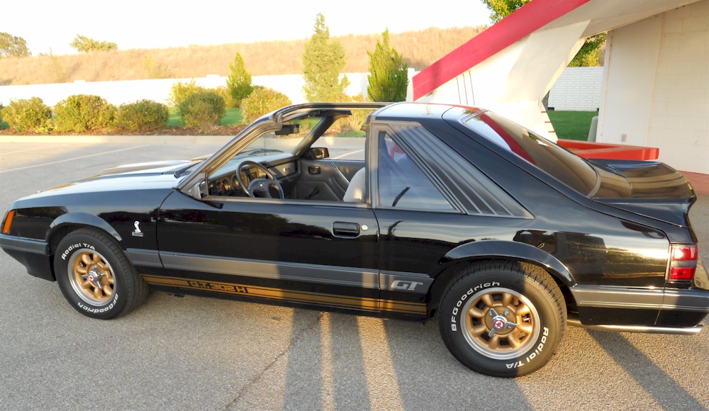 Black 1985 Predator Mustang
