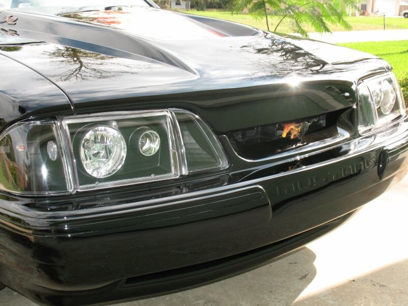 Black Lx Mustang