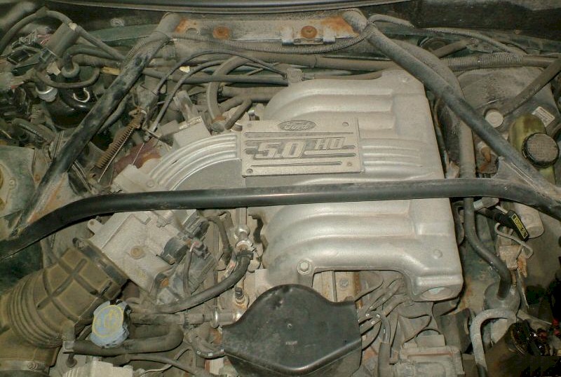 1995 Mustang Engine