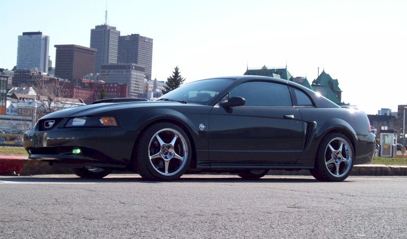 Dark Satin Green 1999 Mustang GT