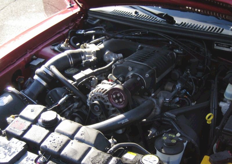 2003 Saleen Engine