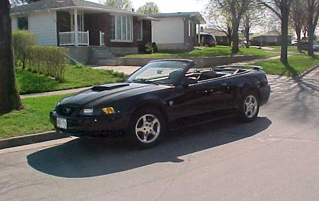 Black 2004 Mustang Convertible
