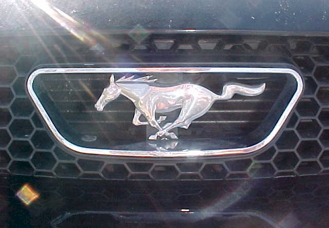 Mustang Pony Emblem