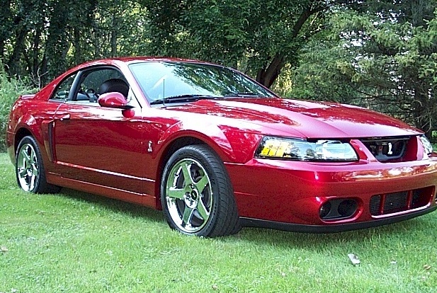 Redfire 04 Mustang Cobra