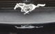 2004 Pony Emblem