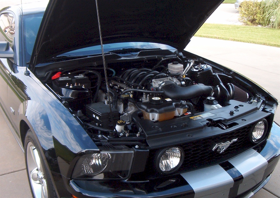 2008 Mustang V8