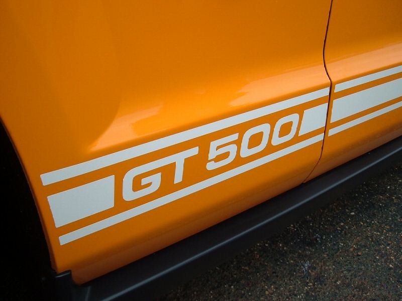 White GT500 Side Stripe