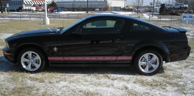 Black 2008 Mustang Warriors in Pink Sally Mustang Coupe