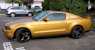 Sunset Gold 10 Mustang GT