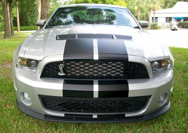 Brilliant Silver 10 Shelby GT-500