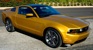 Sunset Gold 2010 Mustang GT Coupe
