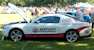 Performance White 2012 Mutang GT Kentucky Speeway Pace Car
