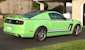 Gotta Have it Green 2014 Mustang GT