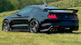 Shadow Black 2020 carbon fiber track pack GT500