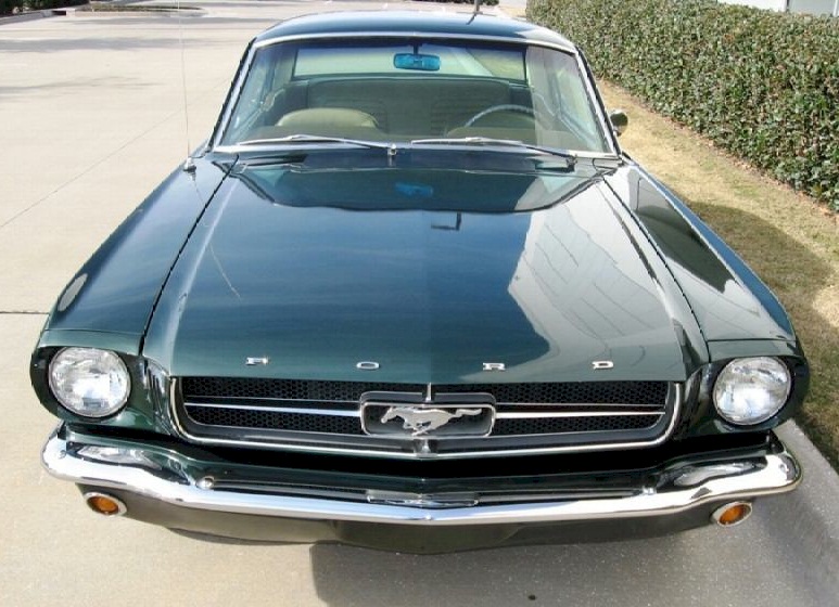 Green 1964 ford mustang #2