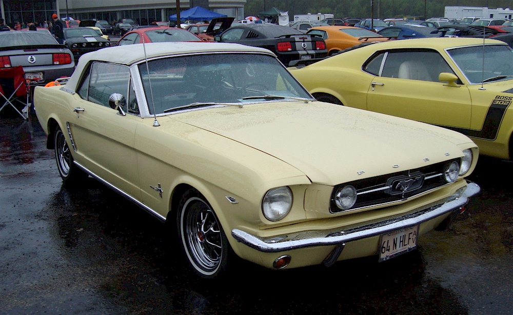 Phoenician Yellow 1964 Ford Mustang 