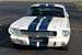 Wimbledon White 65 Shelby GT-350 competition