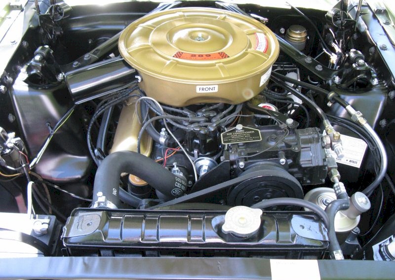 1965 Mustang 289 V8
