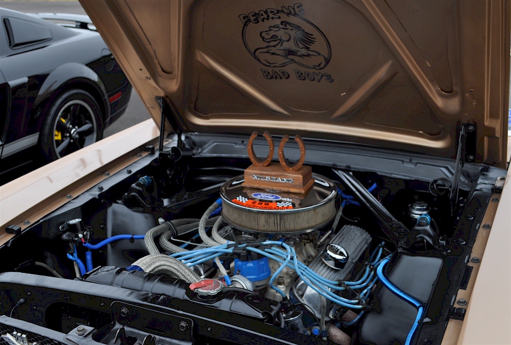65 Mustang Engine