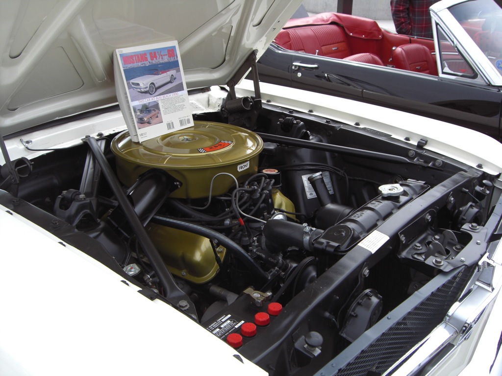 289ci V8 engine