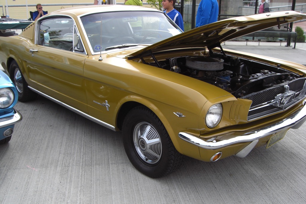 Gold 65 Mustang Fastback