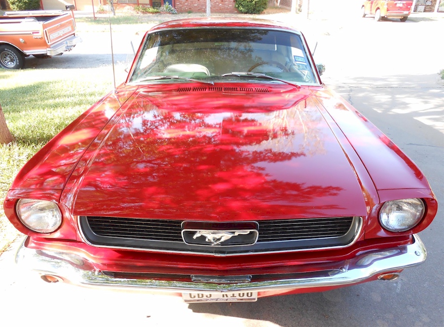 Red 66 Mustang