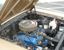 1966 Mustang C-code 289ci V8 Engine.