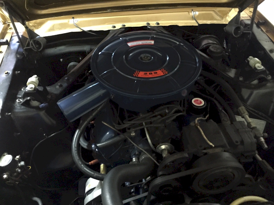 1966 Mustang 289ci V8 Engine
