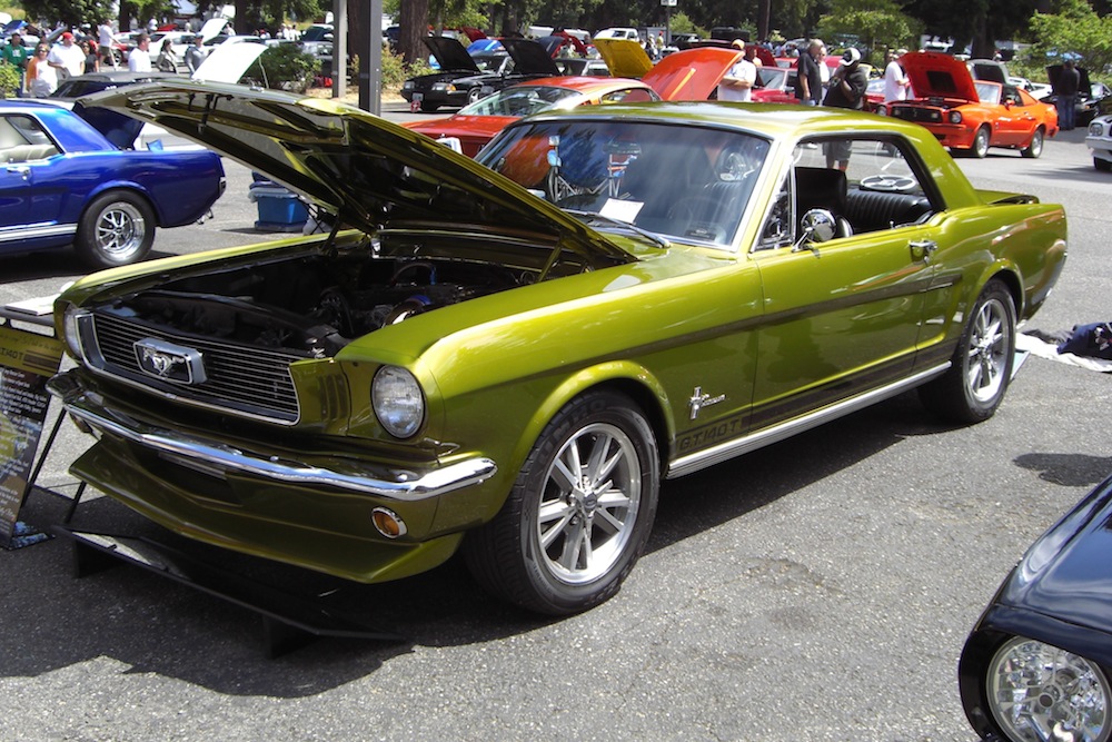 Custom Rescue Green 1966 Mustang Hardtop