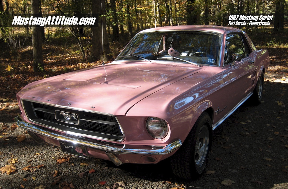 Attitude Of The Month, 2011 February, Dusk Rose 1967 Mustang
