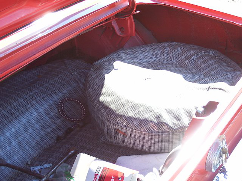 trunk